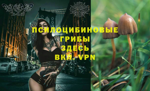 твердый Вязьма